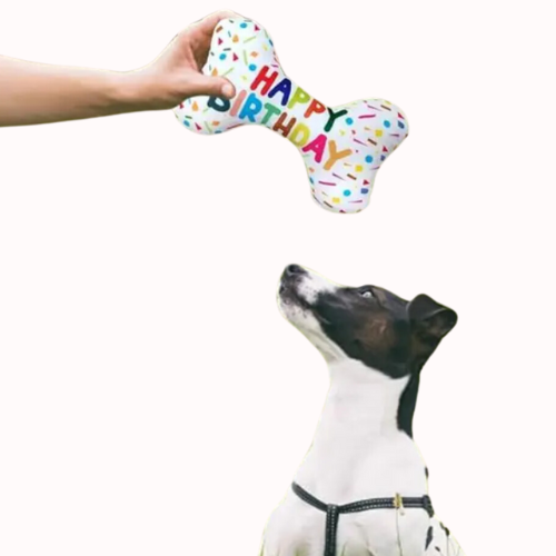 Confetti Bone Toy